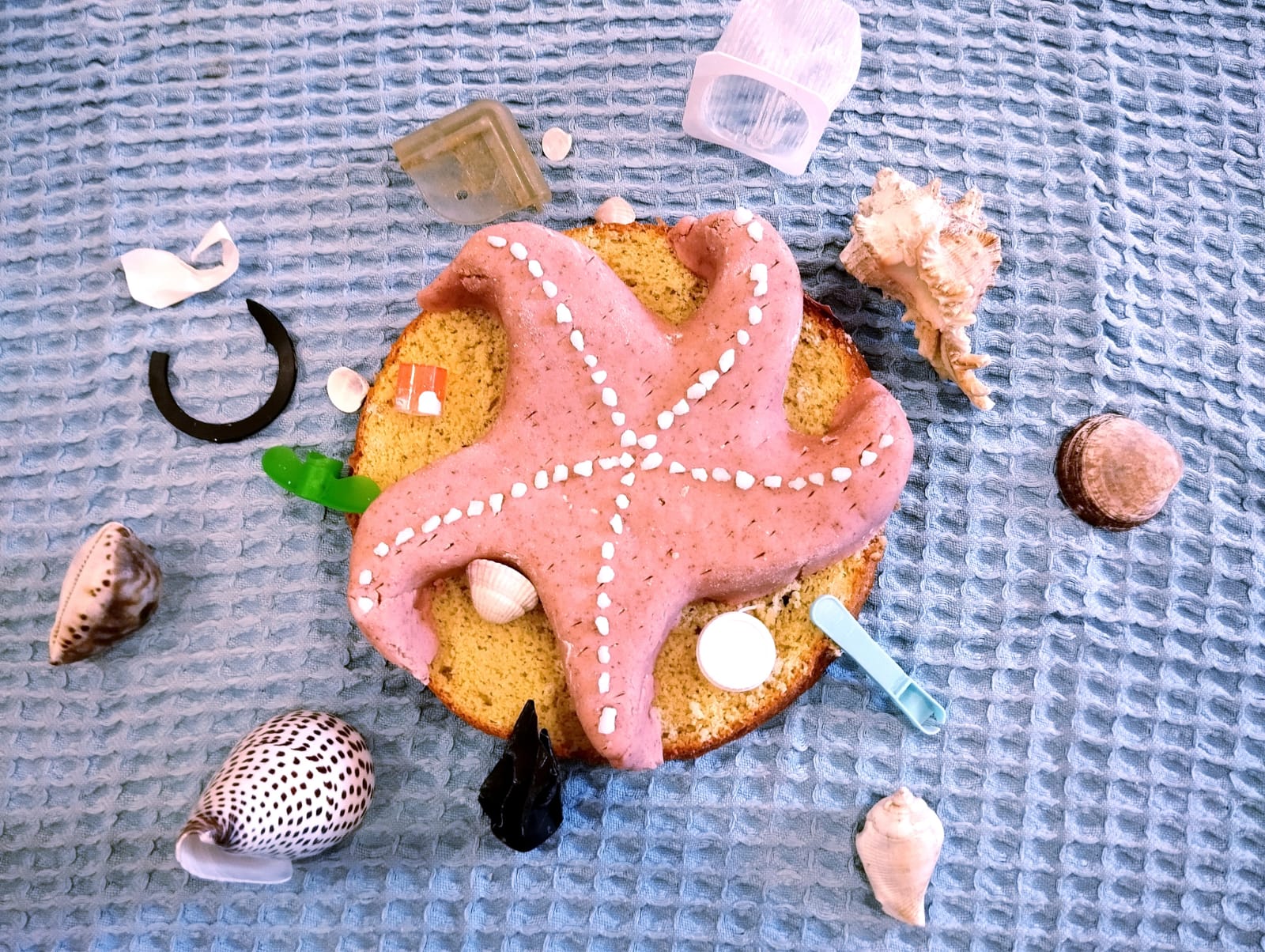 3. Trésors sucrés de la mer